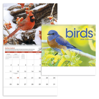 Triumph Calendars Birds Calendar-1053