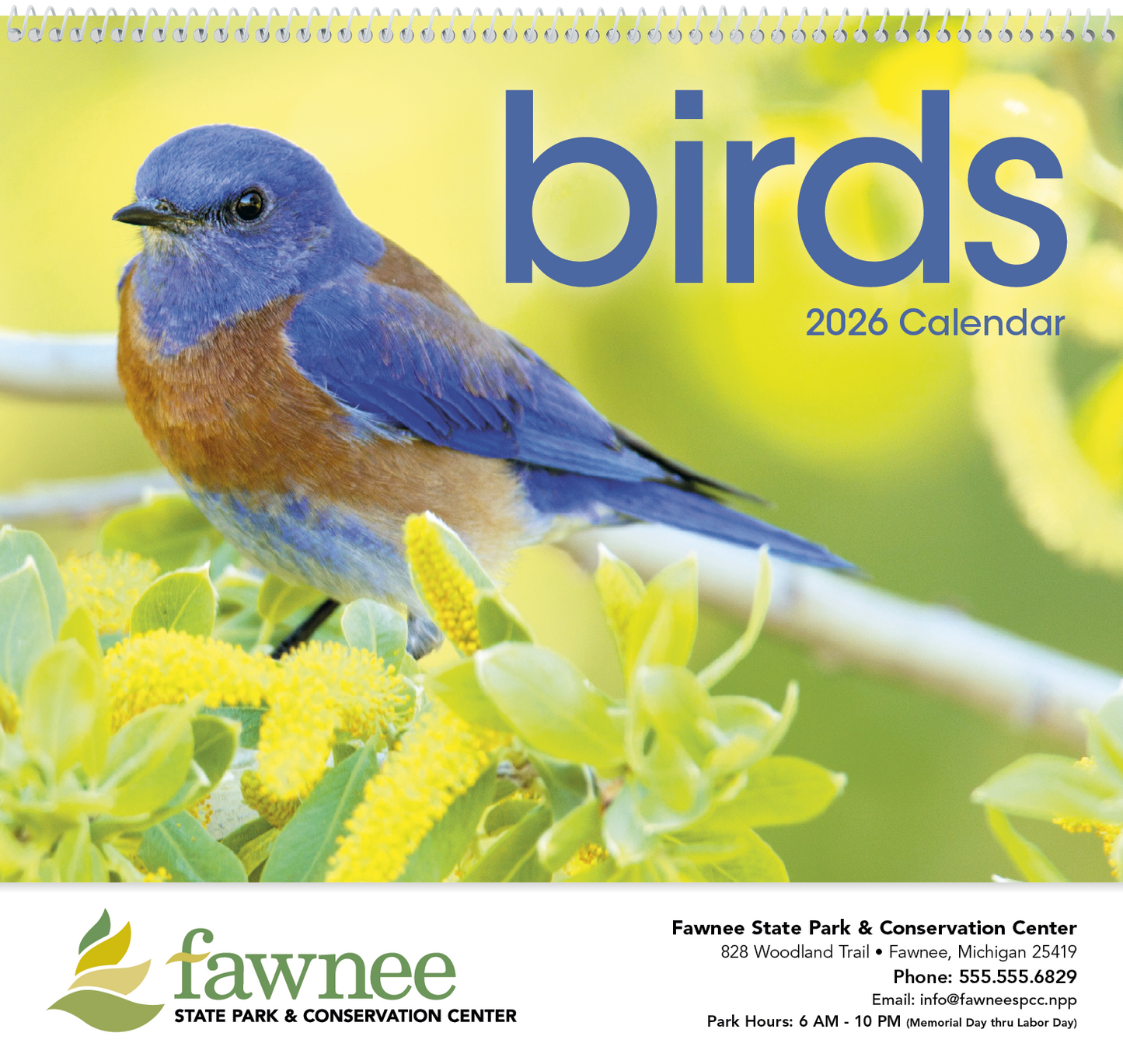 Triumph Calendars Birds Calendar-1053