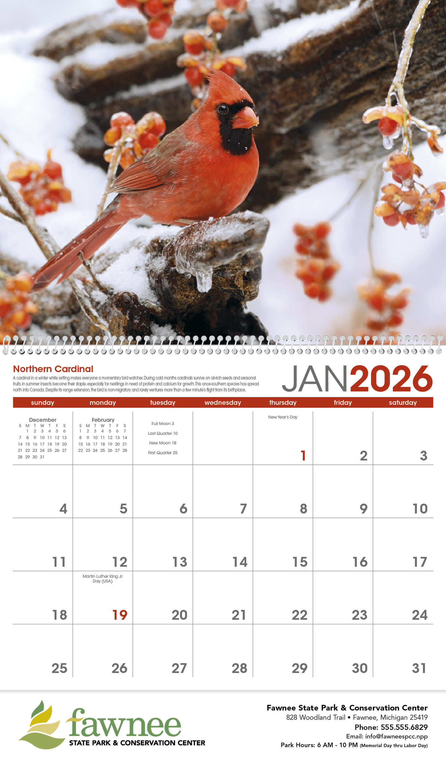 Triumph Calendars Birds Calendar-1053