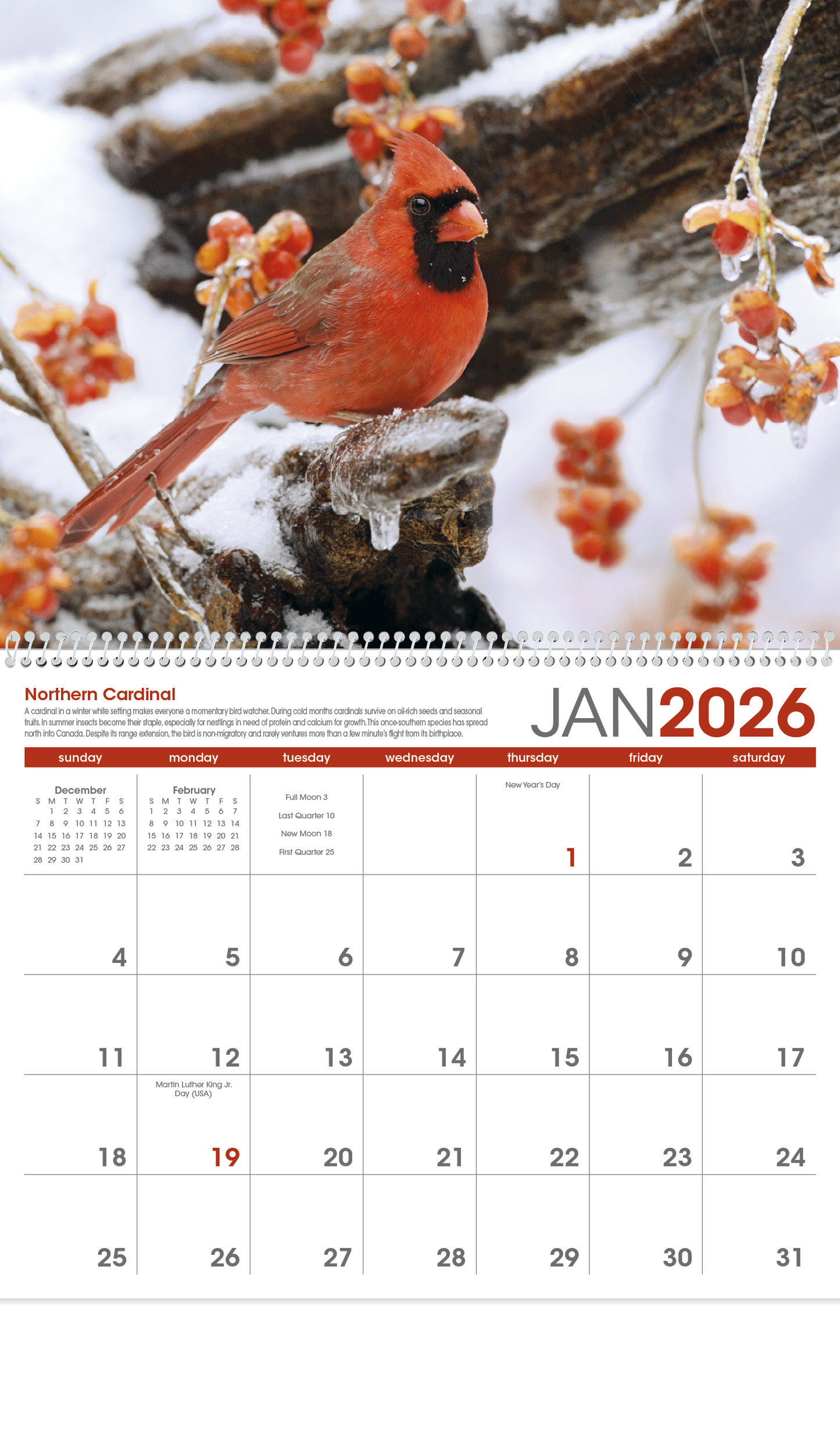 Triumph Calendars Birds Calendar-1053