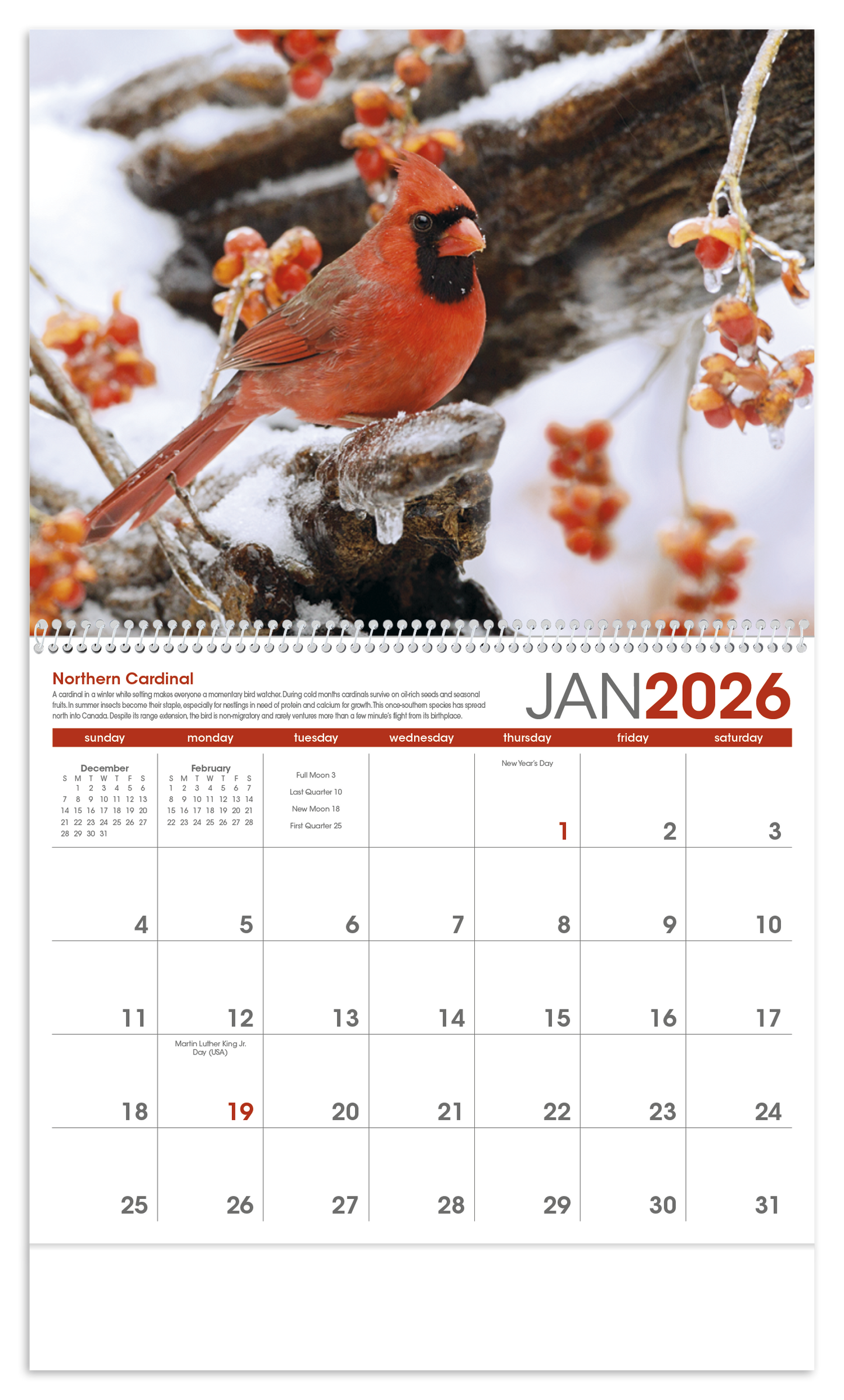 Triumph Calendars Birds Calendar-1053