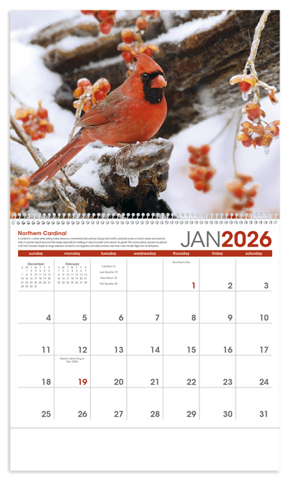 Triumph Calendars Birds Calendar-1053