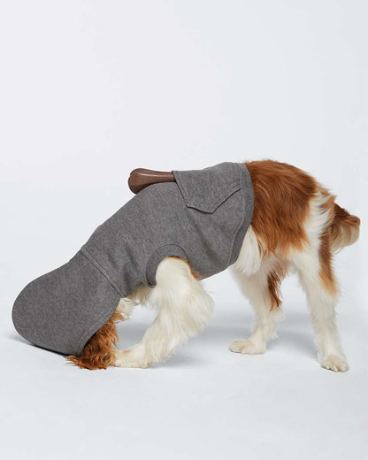 Image for 107536_oms_fl.jpg