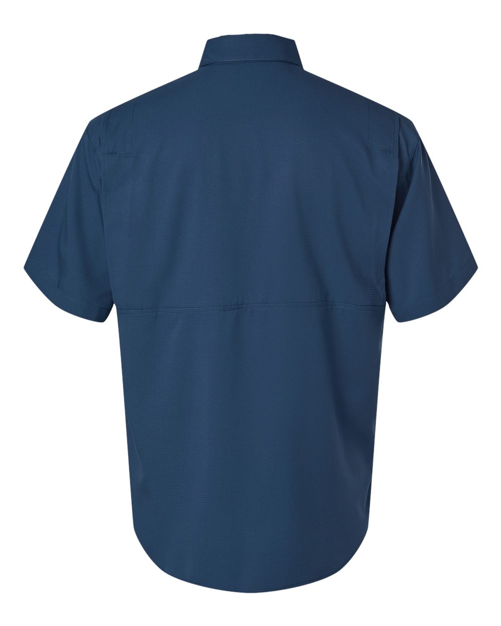 Image for 107939_b_fl.jpg