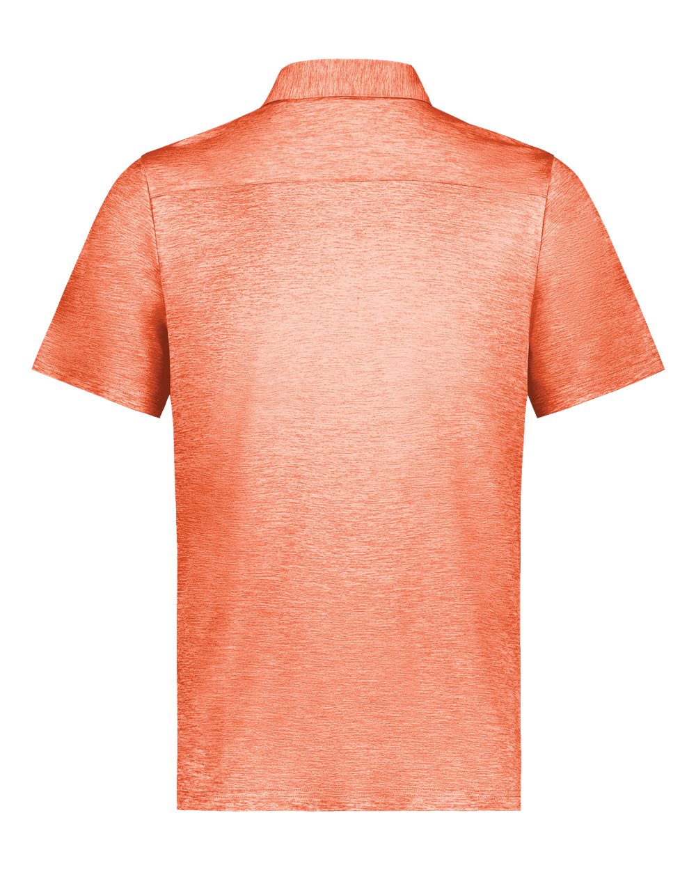 Image for 109570_b_fl.jpg
