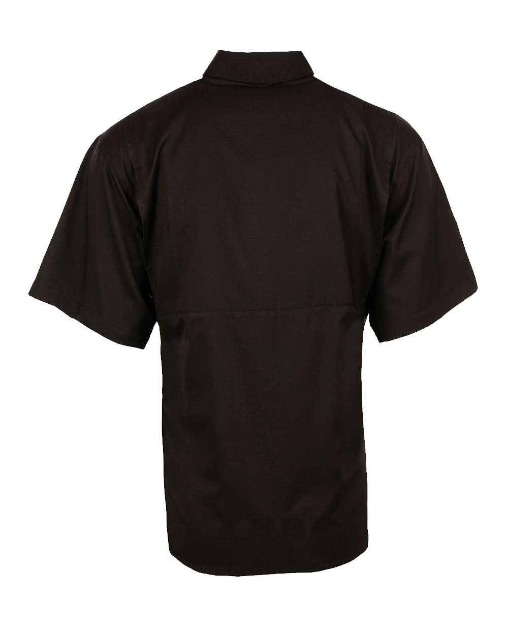 Image for 109601_b_fl.jpg