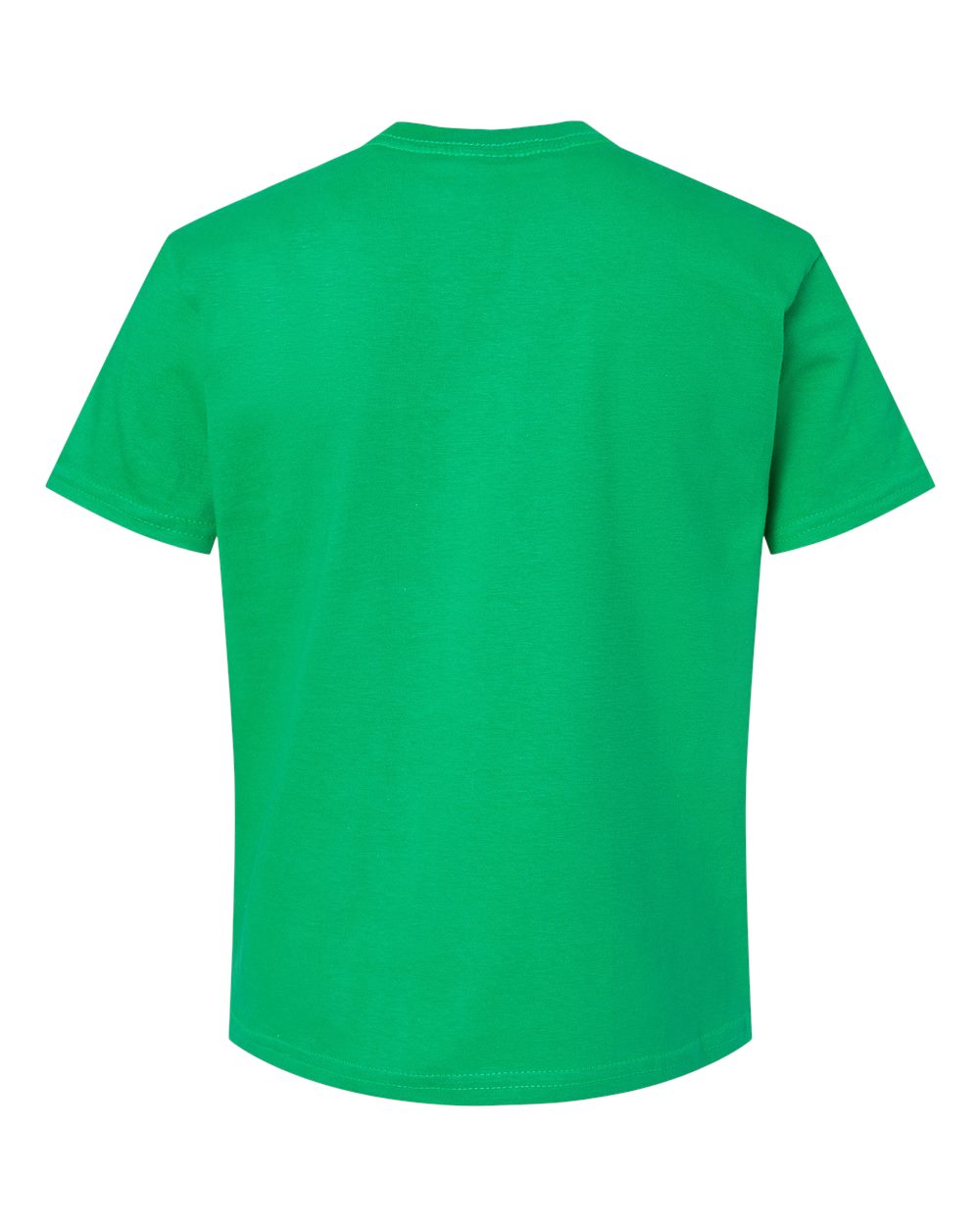 Image for 110086_b_fl.jpg