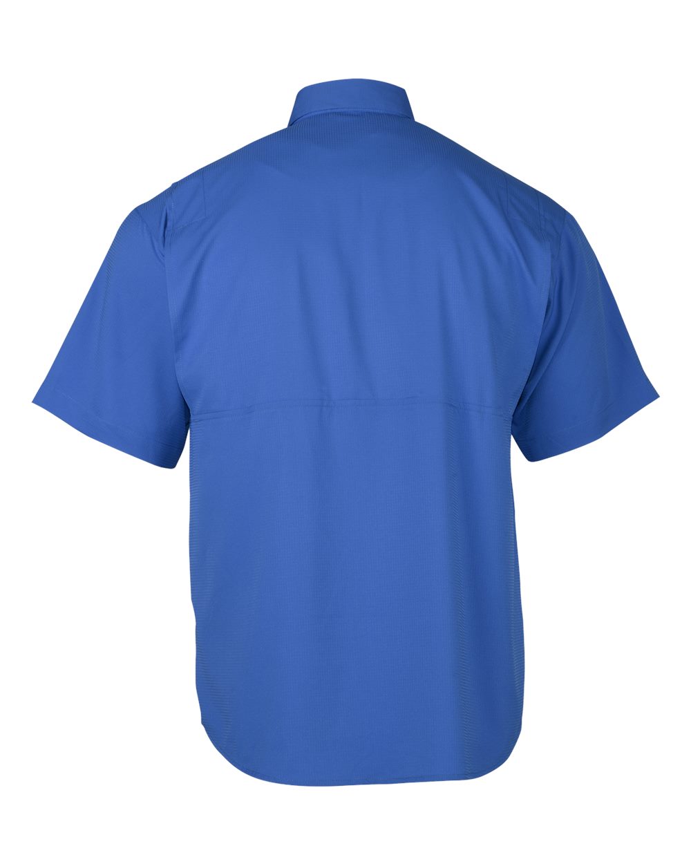 Image for 111742_b_fl.jpg