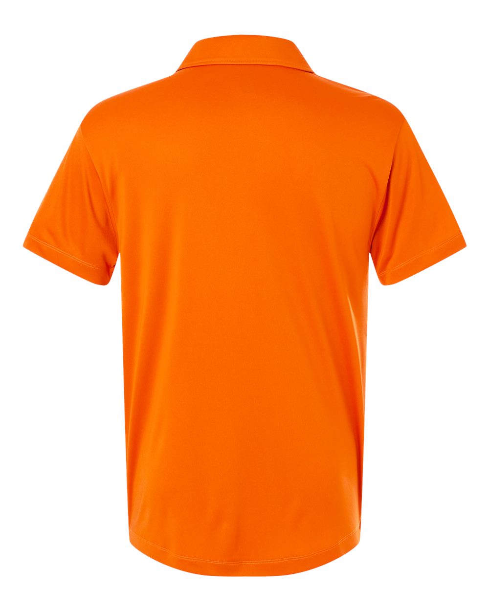 Image for 115000_b_fl.jpg