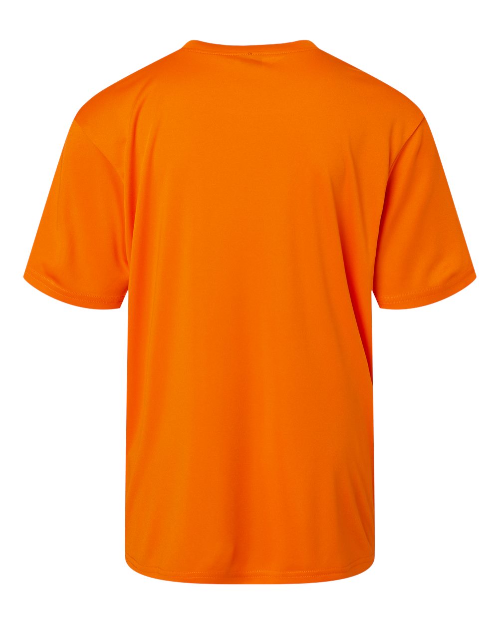 Image for 115197_b_fl.jpg