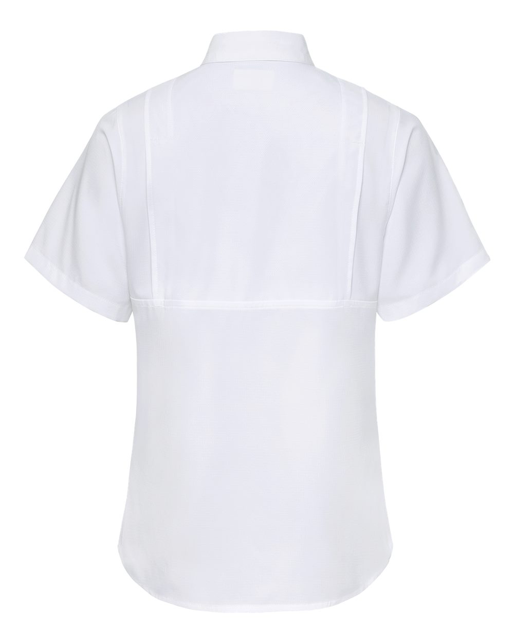 Image for 116080_b_fl.jpg