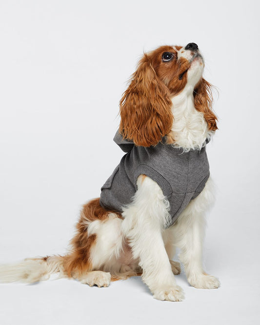 Doggie Skins Doggie 3-End Fleece Hoodie - 3926