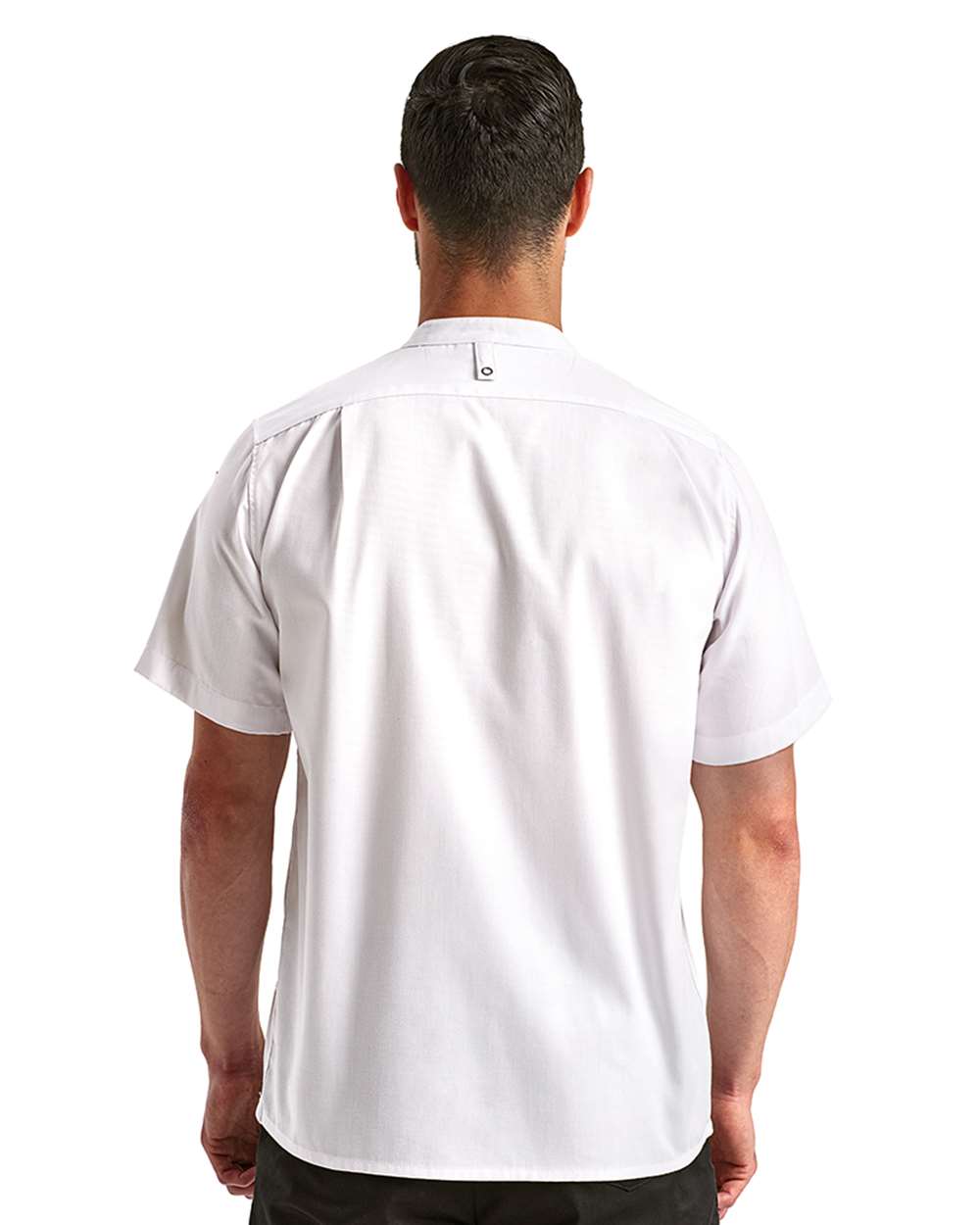 Image for 117826_omb_fl.jpg