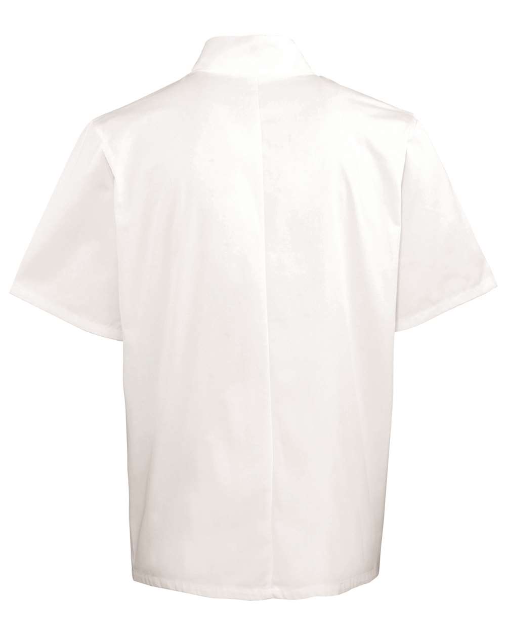 Image for 117879_b_fl.jpg