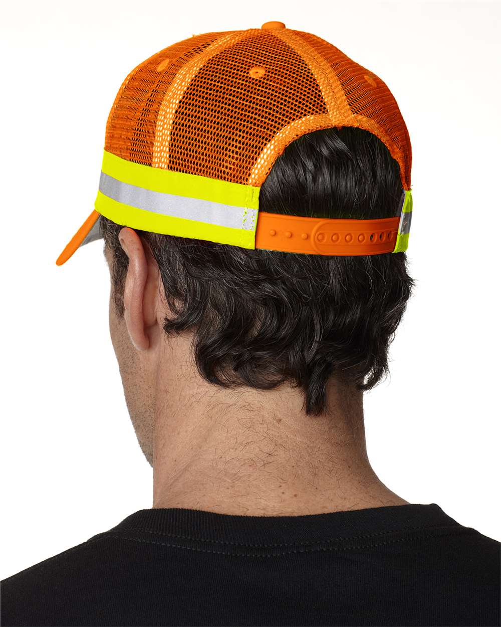 Image for 118456_omb_fl.jpg
