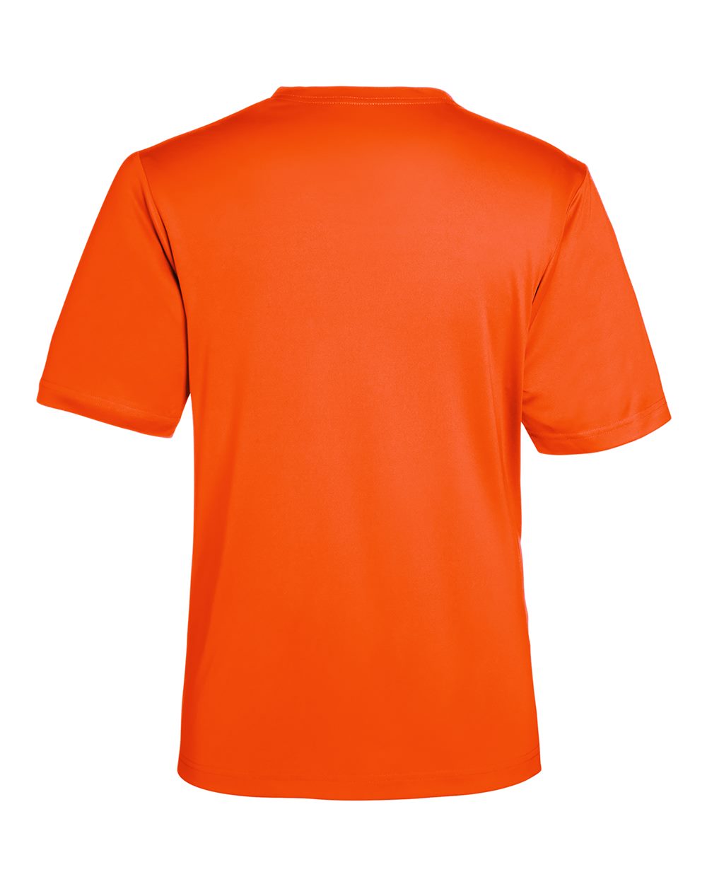 Image for 118791_b_fl.jpg
