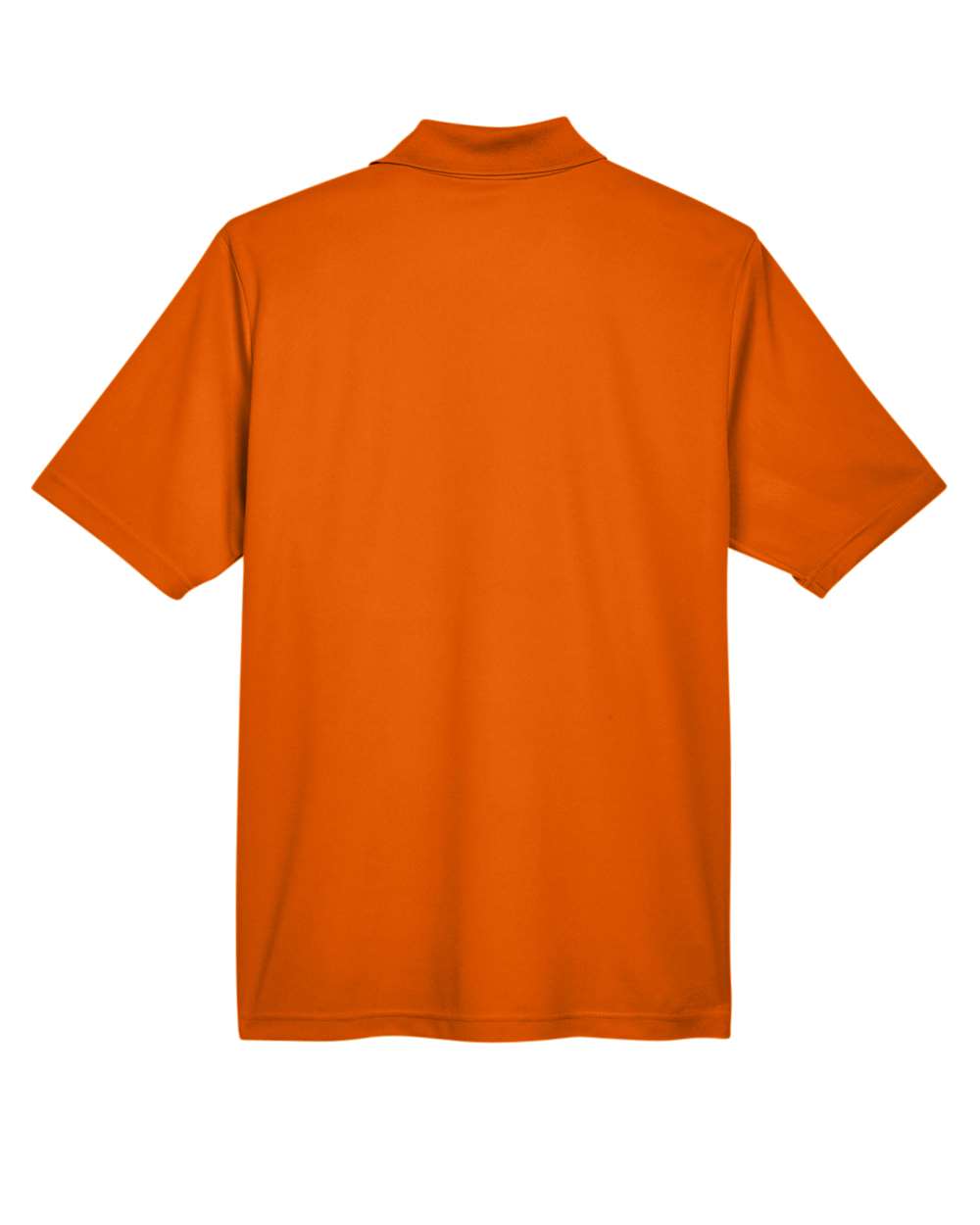 Image for 118812_b_fl.jpg