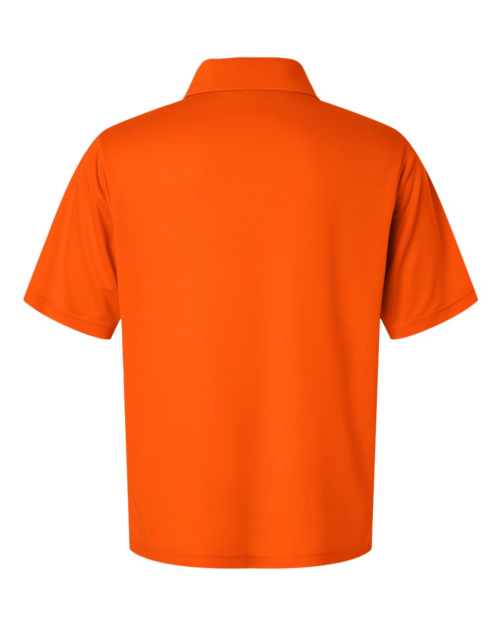 Image for 118916_b_fl.jpg
