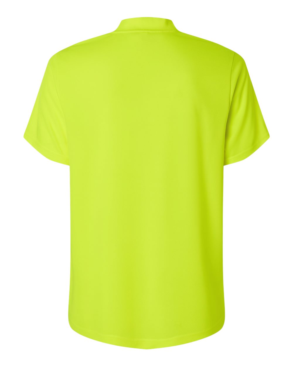 Image for 119002_b_fl.jpg