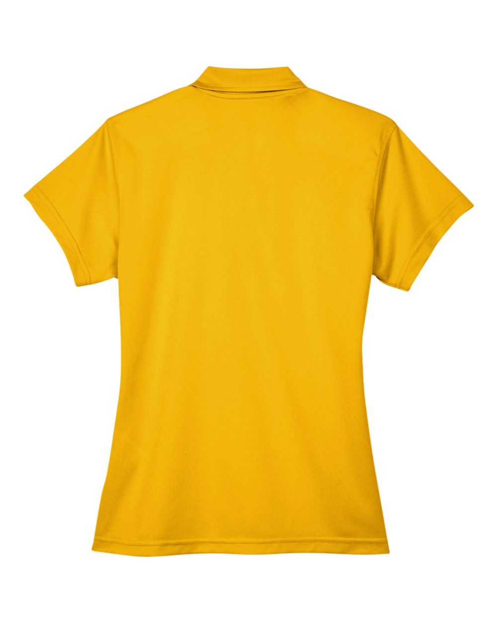 Image for 121790_b_fl.jpg