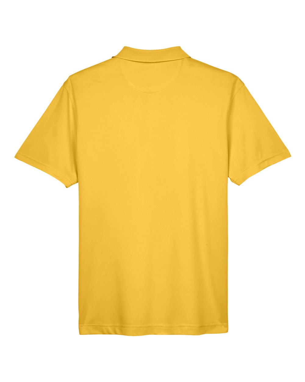Image for 121849_b_fl.jpg