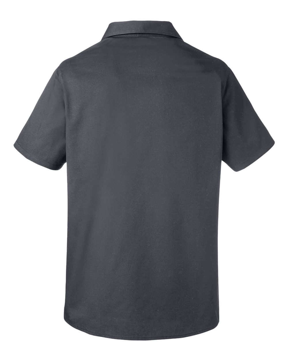 Image for 124014_b_fl.jpg