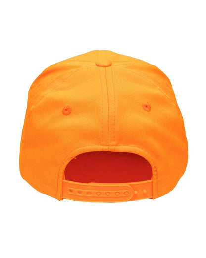 Image for 129820_b_fl.jpg