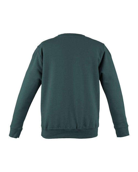 AWDis College Crewneck Sweatshirt - JHA030