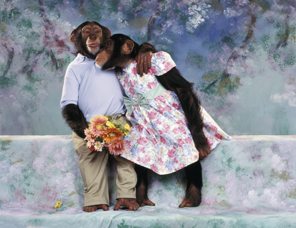 Triumph Calendars Monkey Business Calendar-1552