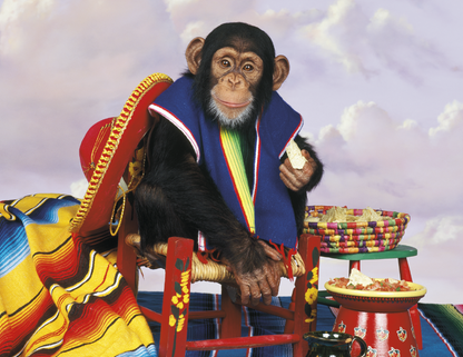 Triumph Calendars Monkey Business Calendar-1552