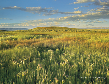 HotLine Products Colorado Collection-156