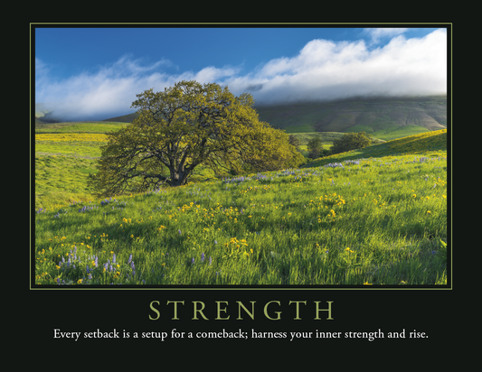 Triumph Calendars Motivations Calendar-1600