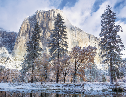 Triumph Calendars National Parks Calendar-1710