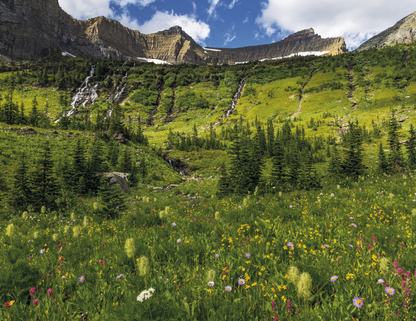 Triumph Calendars National Parks Calendar-1710