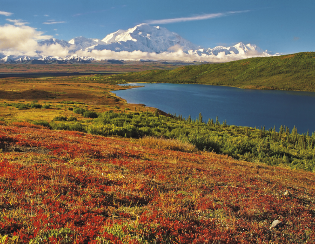 Triumph Calendars National Parks Calendar-1710