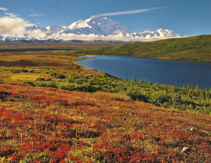 Triumph Calendars National Parks Calendar-1710