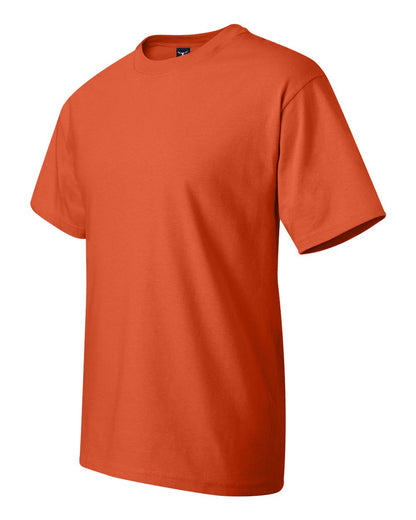 Image for 17268_fl.jpg