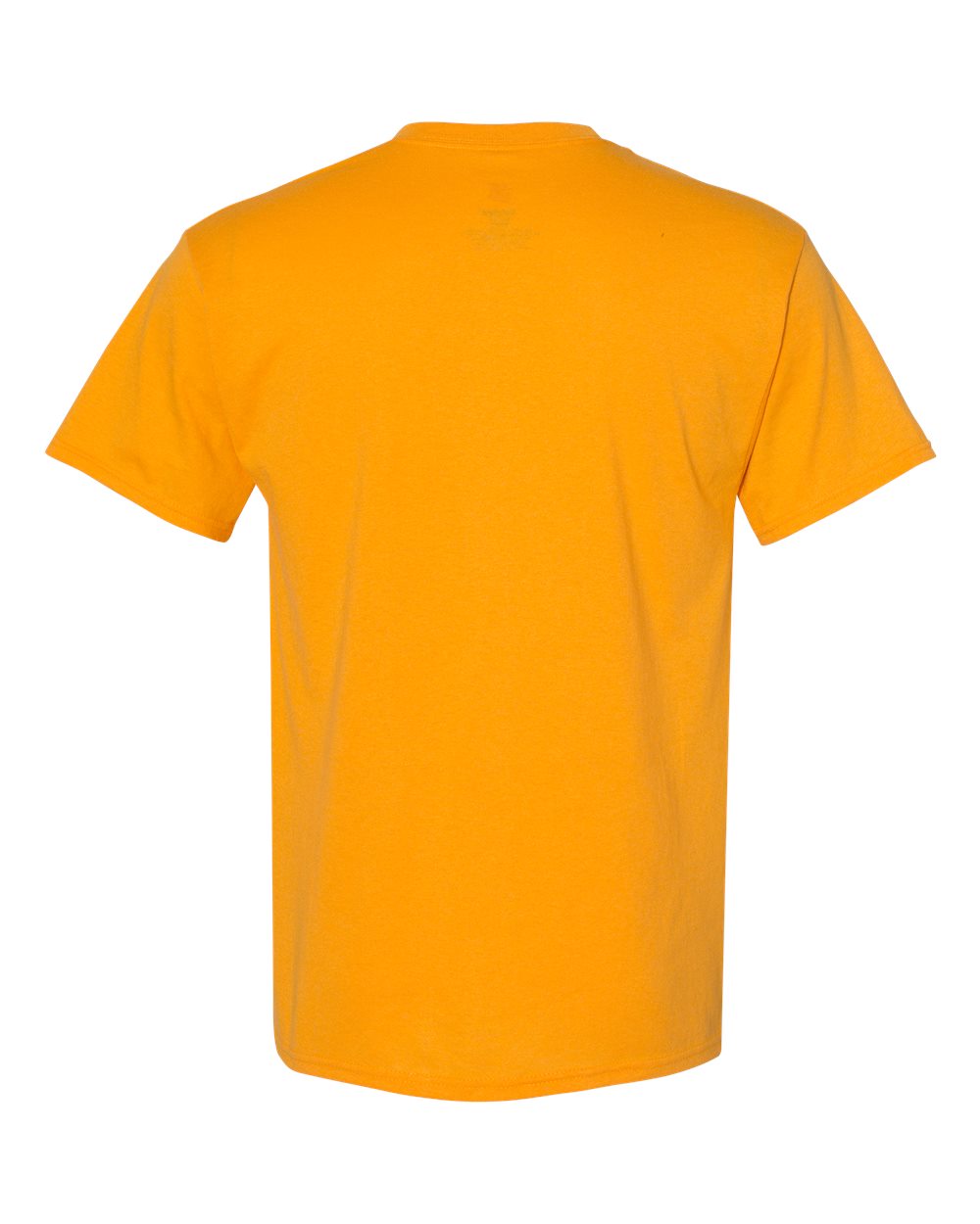 Image for 17824_b_fl.jpg