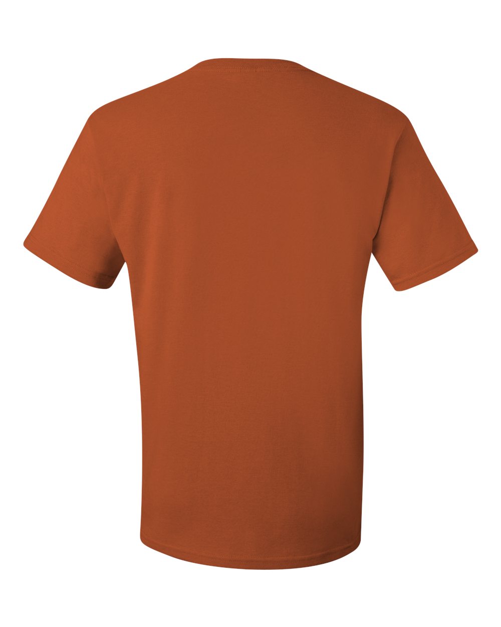 Image for 17895_b_fl.jpg