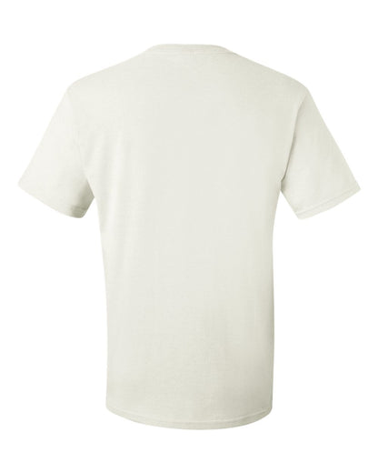 Image for 17900_b_fl.jpg