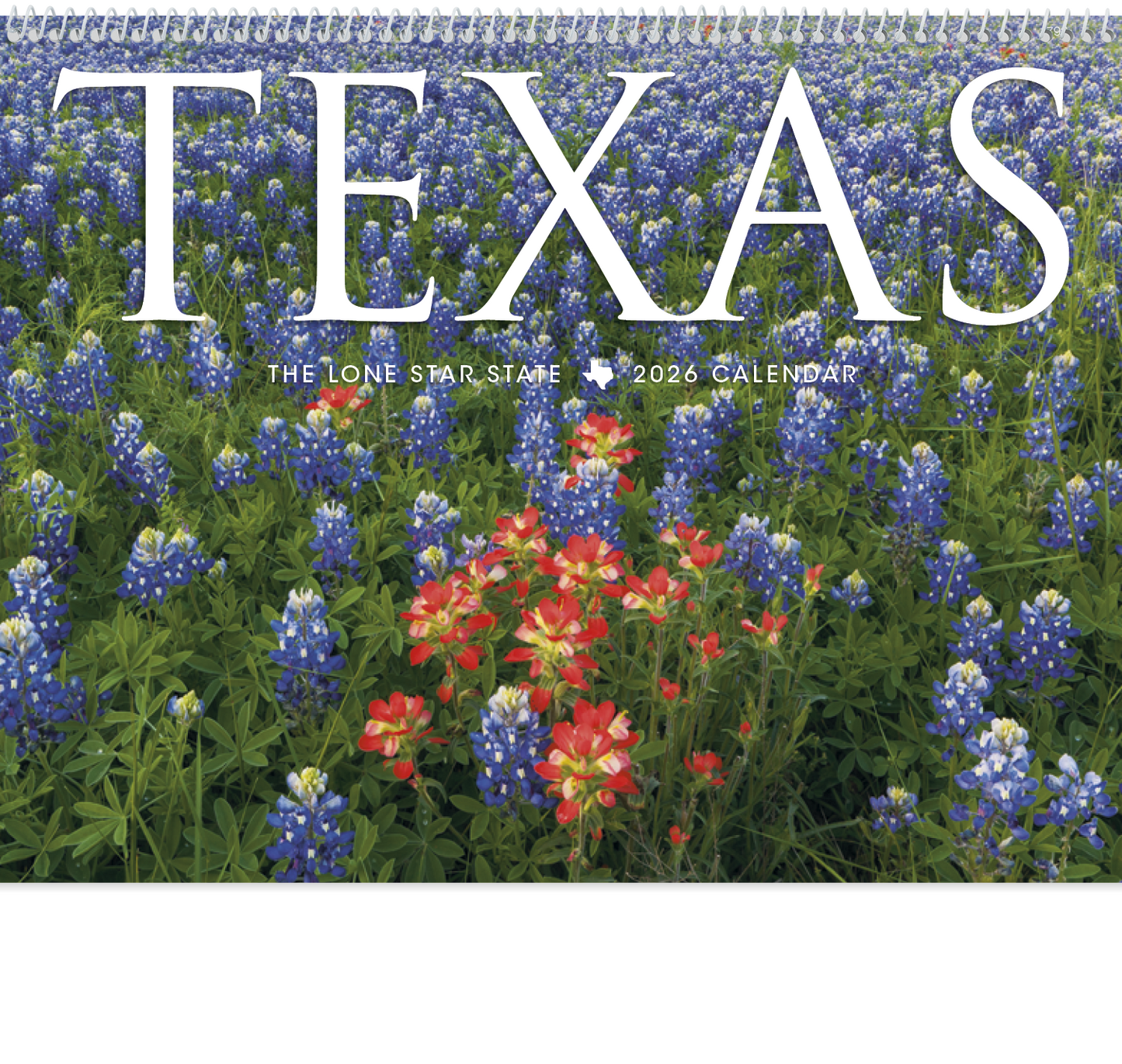 Triumph Calendars Texas Calendar-1792