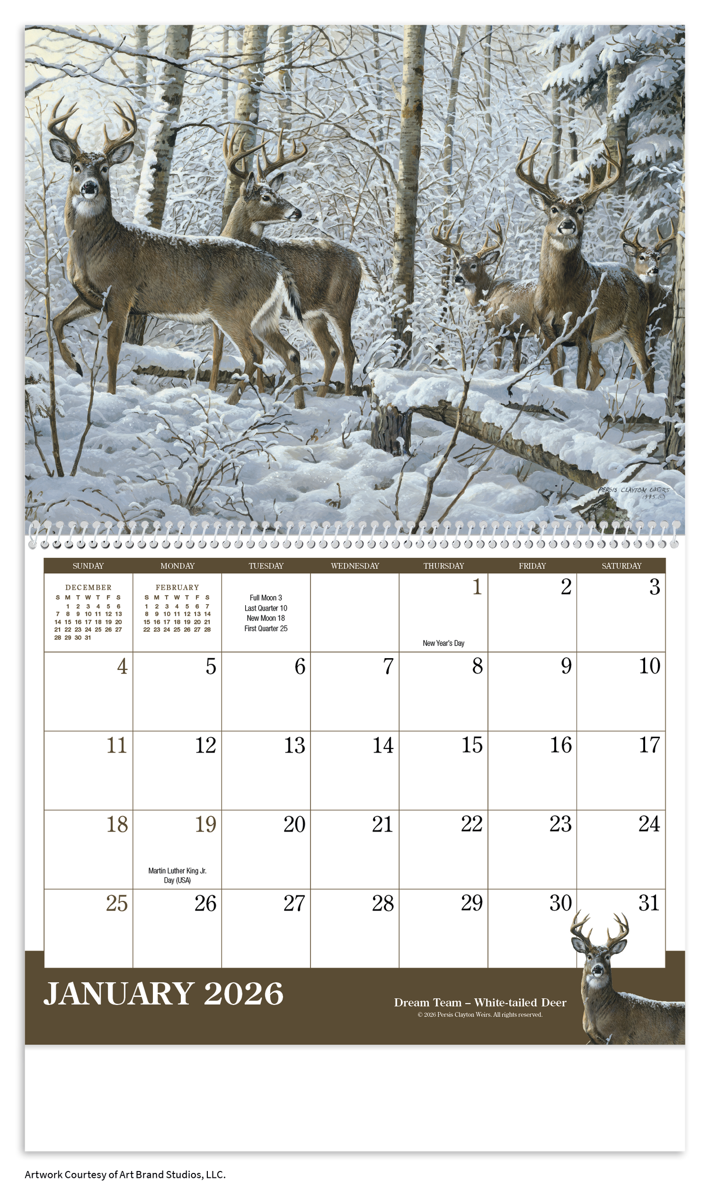 Triumph Calendars Wildlife Art Calendar-1800