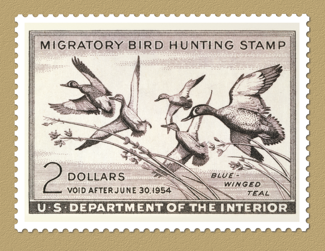 Triumph Calendars Duck Stamps Calendar-1809