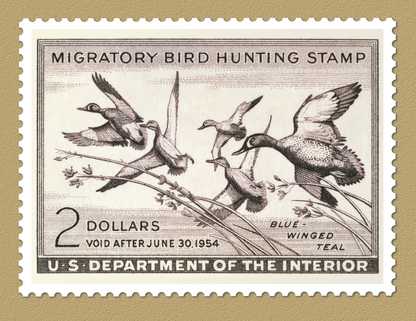 Triumph Calendars Duck Stamps Calendar-1809