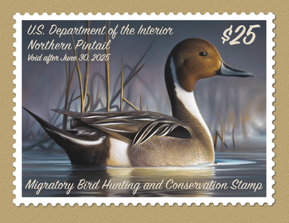 Triumph Calendars Duck Stamps Calendar-1809