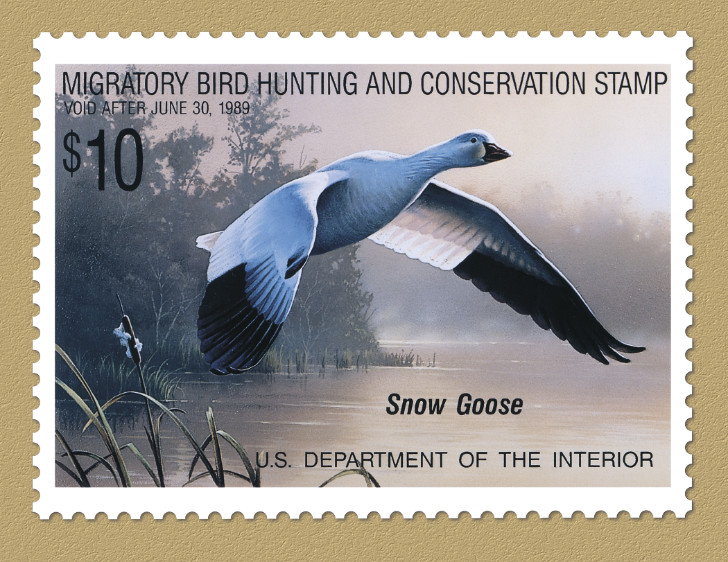 Triumph Calendars Duck Stamps Calendar-1809