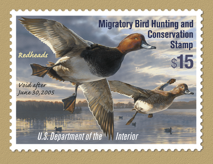 Triumph Calendars Duck Stamps Calendar-1809