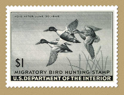 Triumph Calendars Duck Stamps Calendar-1809
