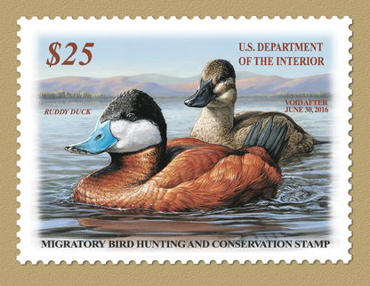 Triumph Calendars Duck Stamps Calendar-1809