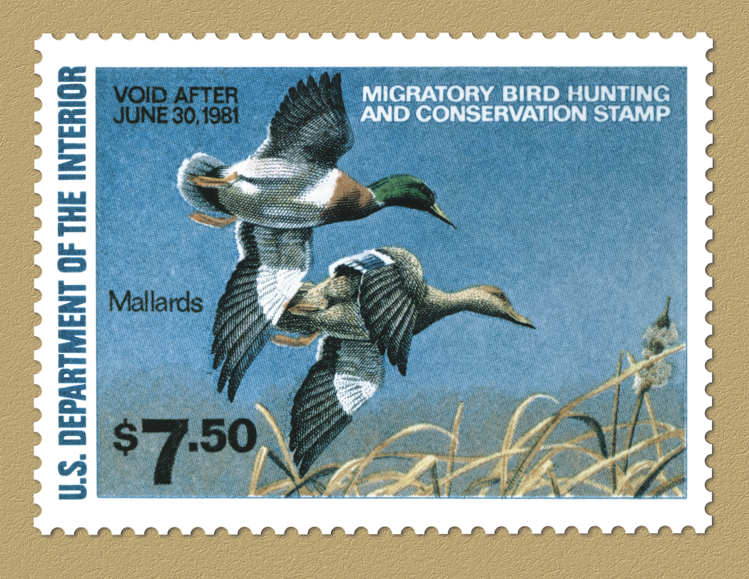 Triumph Calendars Duck Stamps Calendar-1809